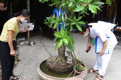 Ngăn chặn dịch bệnh sốt xuất huyết, tay chân miệng