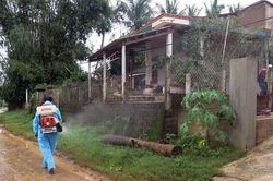Sốt xuất huyết vào mùa: Cẩn thận để không bùng phát lớn