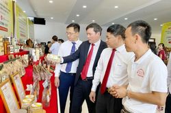 Đắk Lắk tập trung phát triển nông nghiệp theo hướng bền vững