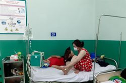 Một người có thể bị sốt xuất huyết mấy lần?