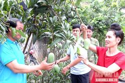 Bí thư chi bộ bản gương mẫu