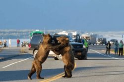 Khoảnh khắc những kẻ 'ngang ngược' gây tắc đường nhưng không ai dám phàn nàn