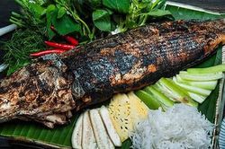 Bình Phước: Người đàn ông tử vong nghi ngộ độc do ăn cá lóc ôi thiu
