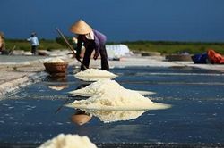 Cách chức Chủ tịch xã vì sai phạm trong thực hiện hỗ trợ sản xuất muối