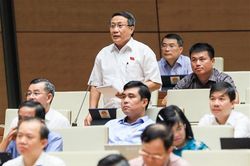 Kỳ họp thứ 3, Quốc hội khóa XV: ĐBQH tỉnh chất vấn về lãi suất và đường tránh phía Đông T.P Đông Hà