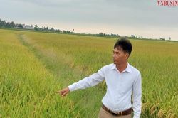 HTX thành công nhờ áp dụng tiến bộ khoa học kỹ thuật