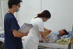 Không có muỗi Anopheles làm lây lan sốt rét tại TP.HCM