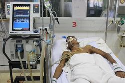TPHCM: Phát hiện 5 ca sốt rét, tập trung rà soát bệnh sử