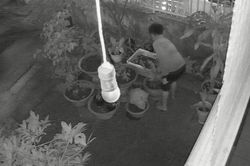 Làm rõ việc một Phó Giáo sư ở Huế kêu cứu vì những hành vi 'chơi bẩn'