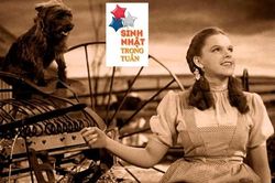 'Tắc kè hoa' Judy Garland