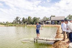 Hiệu quả từ mô hình nuôi tôm thâm canh 2 giai đoạn