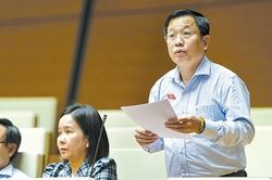 Nghị quyết của Quốc hội tạo cơ chế đột phá, huy động tối đa nguồn lực để Khánh Hòa phát triển