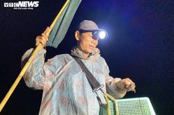 Xuyên đêm soi đèn săn 'vũ nữ chân dài' ở miền Tây