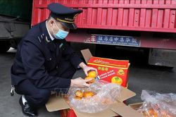 Lào Cai: Xử lý 139 vụ buôn lậu, gian lận thương mại và hàng giả