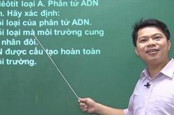Vụ khởi tố Tổ trưởng tổ ra đề môn Sinh thi tốt nghiệp: Phó hiệu trưởng trường chuyên nói gì?