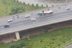 Giật mình ô tô đầu kéo đi lùi trên cầu Nhật Tân