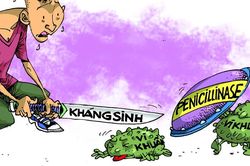 Chuyện về loại 'vũ khí' chống nhiễm khuẩn
