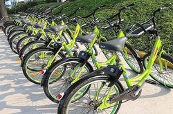 Cho thuê xe đạp tại Hà Nội: Cần điều chỉnh giá phù hợp