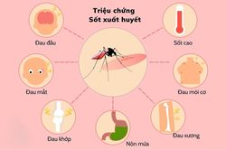 Bộ Y tế: Hơn 43.600 người mắc, 22 ca tử vong vì sốt xuất huyết