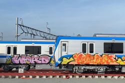 Tàu Metro số 1 Bến Thành - Suối Tiên bị bôi bẩn