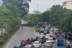 Cành đa cổ thụ gãy cành chắn ngang đường Hà Nội