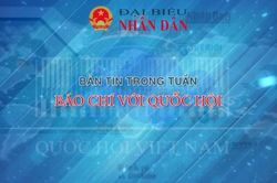 Bản tin - Báo chí với Quốc hội (Tuần từ ngày 6.6 - 12.6)