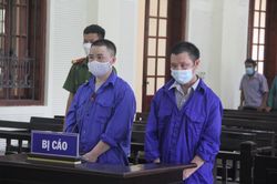 Chú xin cháu đi vận chuyển ma túy để kiếm tiền