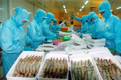 Thị trường châu Phi: Thách thức lớn cho doanh nghiệp thực phẩm