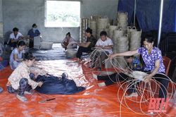 Các HTX mở rộng quy mô, phát triển đa ngành, nghề