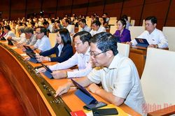 Kết hợp tiền kiểm và hậu kiểm đối với phổ biến phim trên không gian mạng