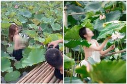Chụp ảnh sen chuộng 'thả rông', nhiều cô gái làm người nhìn 'đỏ mặt'