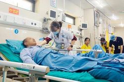 Bị sốc phản vệ do ong vàng đốt