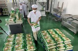 Có một vụ lúa hữu cơ thắng lũ, thắng lớn