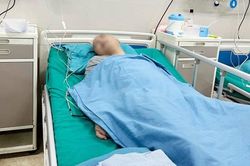 Bị ong đốt khi làm vườn, người đàn ông sốc phản vệ nặng