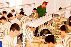 Từ 1-9-2022, thí điểm tổ chức hoạt động lao động, hướng nghiệp, dạy nghề cho phạm nhân ngoài trại giam