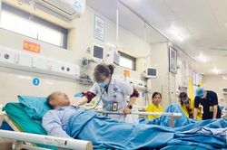 Sốc phản vệ nặng do ong đốt