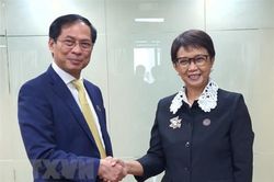 Việt Nam nhất trí thúc đẩy hợp tác với Indonesia và Brunei