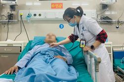 Đang làm vườn, người đàn ông bị ong vàng đốt nhập viện trong tình trạng sốc phản vệ nặng