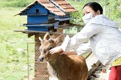Bác sĩ của thú rừng