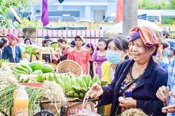 Nhiều mô hình kinh tế hiệu quả ở Vĩnh Ô