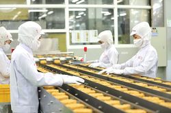 EU thông báo ngừng kiếm soát khẩn cấp đối với bún, miến, phở, bánh đa của Việt Nam