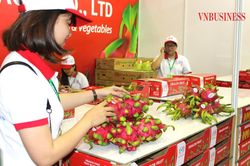 Xuất khẩu trái cây tươi gánh phần thiệt giữa áp lực tăng chi phí