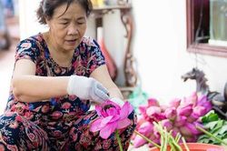 Đại gia Hà Nội săn lùng 'đệ nhất trà' giá 10 triệu đồng/kg