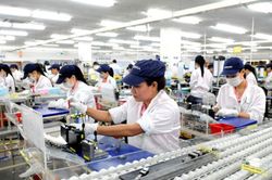 Phấn đấu tốc độ tăng trưởng công nghiệp ngành hóa chất từ 10-11%/năm