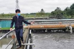 Kinh tế Bảo vệ môi trường bền vững