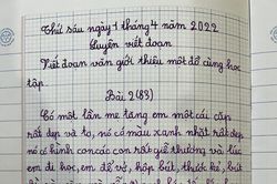 Bài văn giới thiệu đồ dùng học tập của học sinh tiểu học khiến cư dân mạng bật cười
