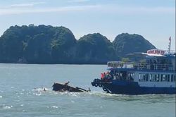 Hải Phòng: Người phụ nữ tử vong sau vụ va chạm giữa 2 tàu trên biển