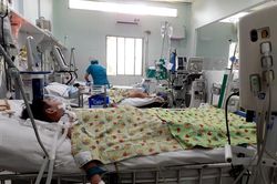 TP Hồ Chí Minh có hơn 16.000 ca mắc sốt xuất huyết, thêm một trường hợp tử vong