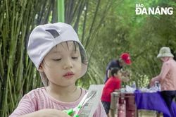 Trại hè: Vừa học, vừa chơi