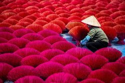 Vẻ đẹp làng hương Quảng Phú Cầu